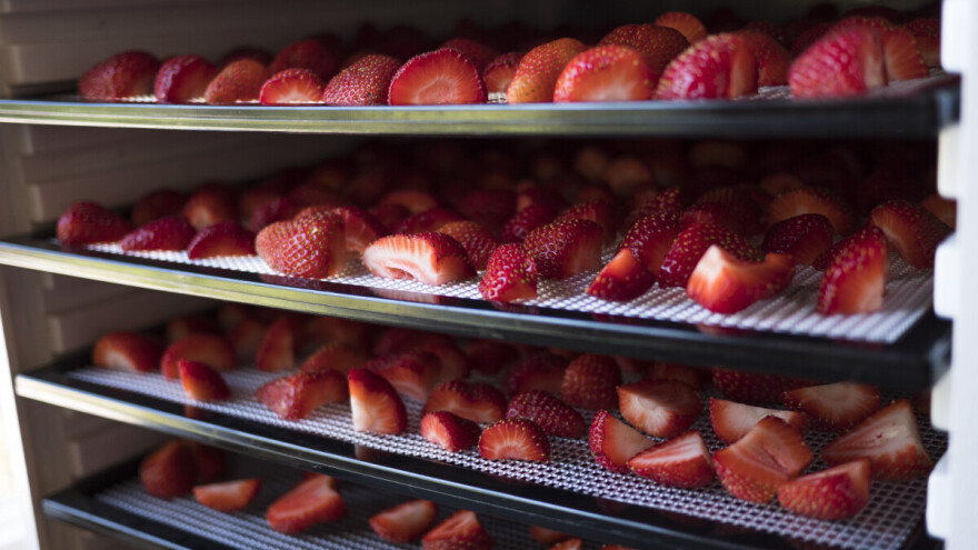 Ministarstvo poljoprivrede: U sušenim jagodama iz Srbije nije prekoračen sadržaj sumpor-dioksida