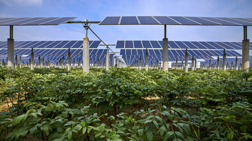 Na 500 ha: Gdje će se graditi najveći agro-fotonaponski sustav u Europi?
