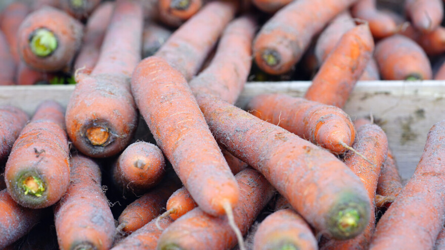 Stari trik koji i danas važi: Kako očuvati šargarepu svežom cele zime?