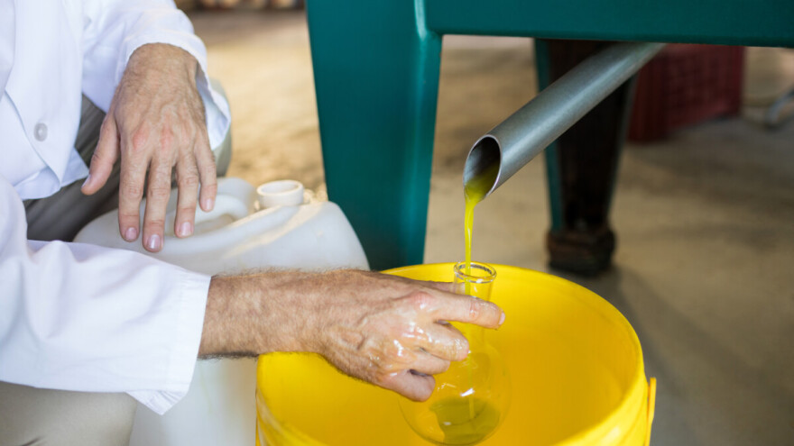 Uskoro kreće zaprimanje uzoraka ulja za 10. Festival maslina u Zagrebu