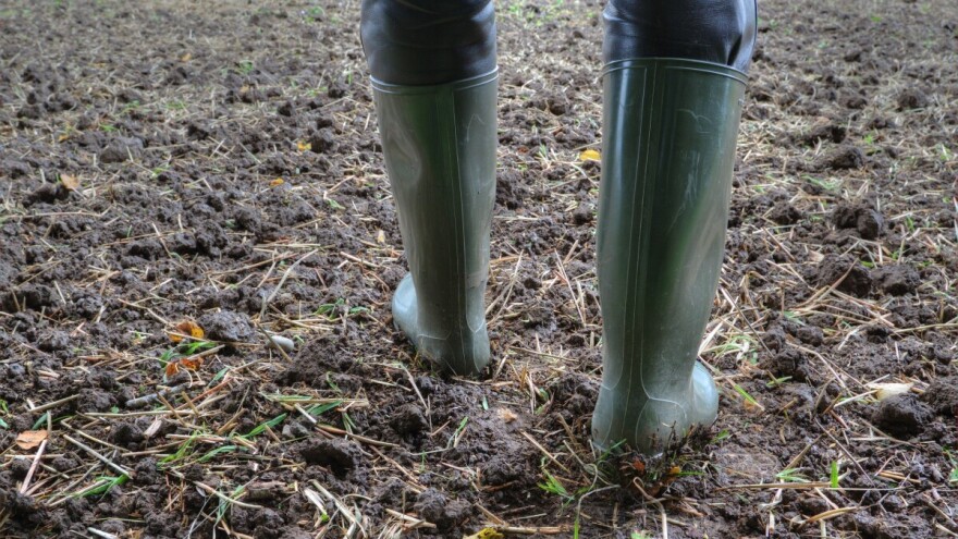 I dalje promenljivo vreme, sa kišom. Da li će biti dovoljno padavina za jesenju setvu?