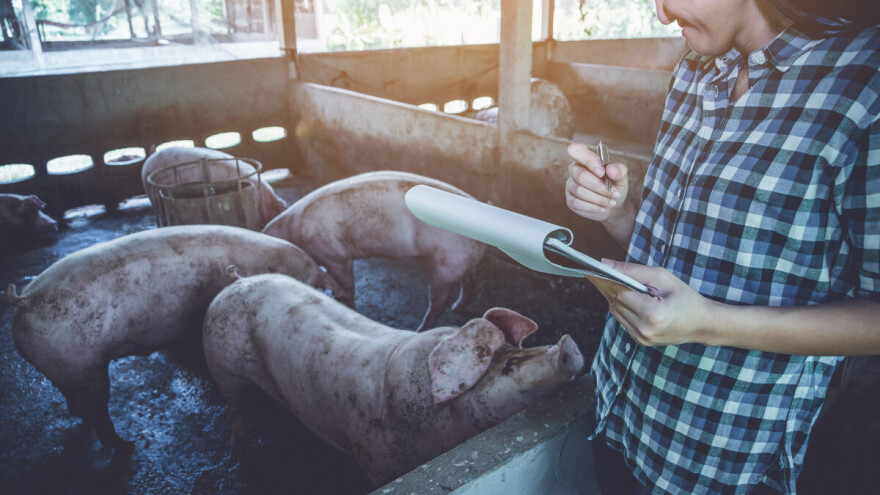 Svinjogojci, prijavite se za savjetovanje