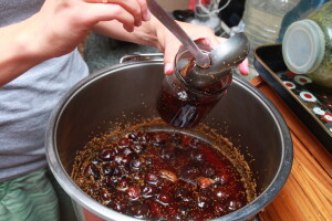 Kako napraviti džem od smokava?