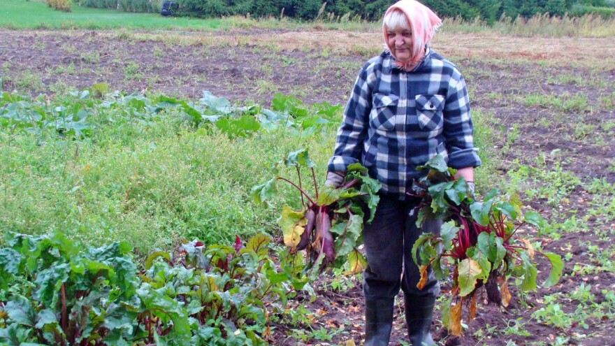Za svjež dah, lijep ten i rumene obraze, a čak i lišće je jestivo!