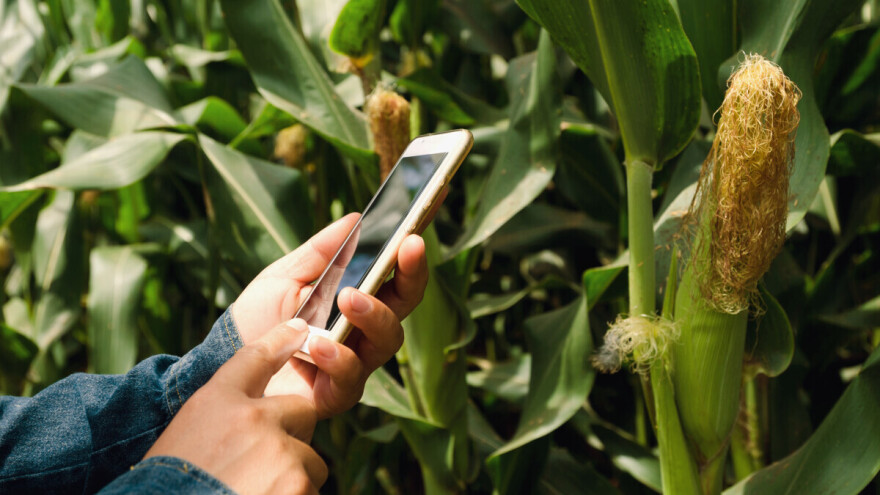 Stručni agronomski saveti zasnovani na veštačkoj inteligenciji od sada dostupni ratarima Srbije