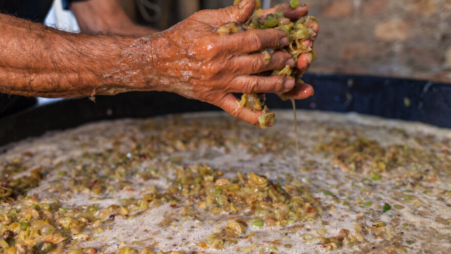 Vinski podrum: Alkoholno vrenje je nevidljiva opasnost - osigurajte ventilaciju i senzore