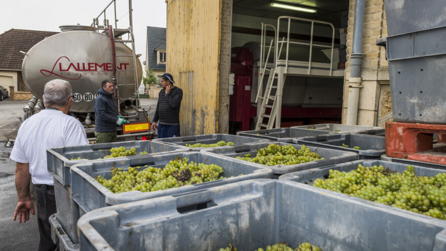 Pojačan nadzor uvoza grožđa, mandarina i breskvi u BiH