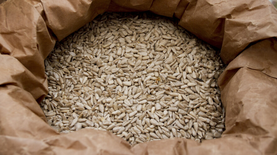 Suncokretove sjemenke: Zašto ih jesti i kako korsititi?