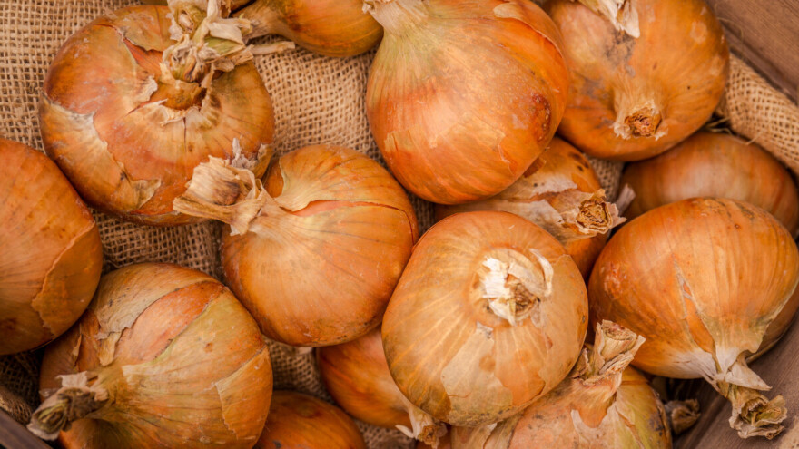 Kako očuvati luk u kućnim uvjetima?