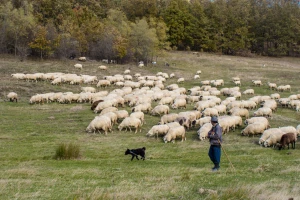 Grčka mora popraviti plan za sprječavanje zloupotrebe fondova ili riskira obustavu podrški