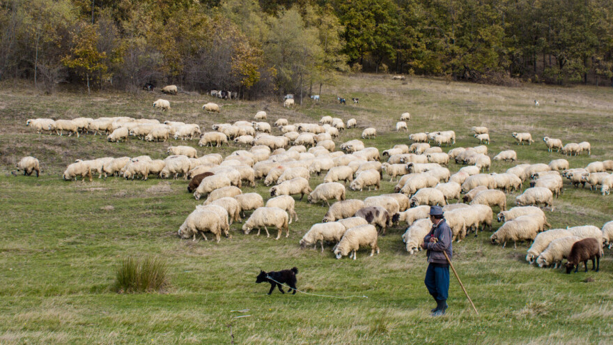 Grčka mora popraviti plan za sprječavanje zloporabe fondova ili riskira obustavu potpora