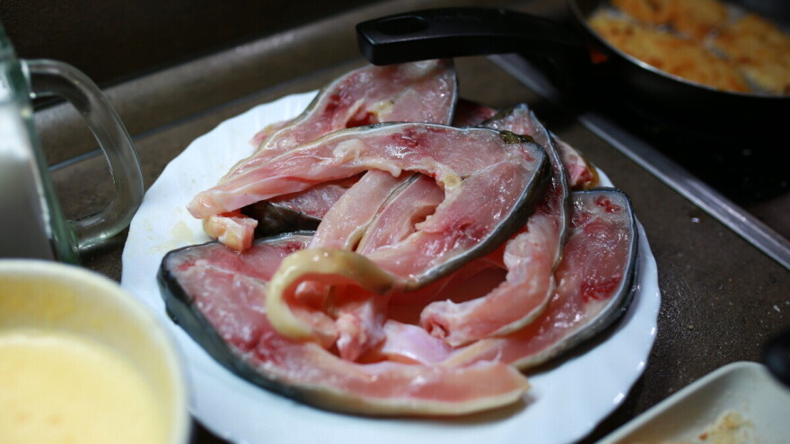 Da li je istina da konzumacija ribe ne doprinosi zdravlju jer je zagađena?