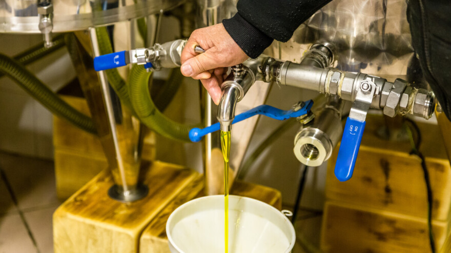 Šaljite uzorke maslinovih ulja za analizu: Uranjena berba mijenja tradiciju?