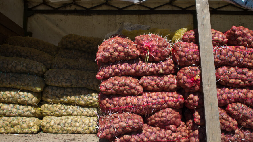 Cijene sjemenskog krompira više nego lani, hoće li ga biti dovoljno?