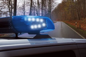 Više osoba otkriveno u krivolovu, trojicu policija ganjala po šumi