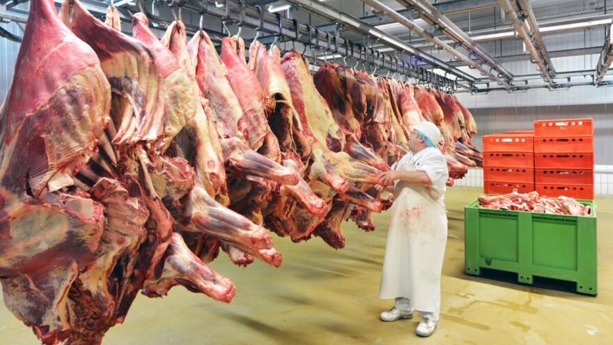 Manje goveda i peradi, više ovaca i svinja: Evo izvještaja iz bh. klaonica