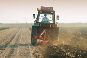 Za poljoprivredu, šumarstvo i vodoprivredu u 2026. predložen budžet od 136,5 milijardi dinara