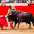 Zabranjuju borbe s bikovima u Kolumbiji, a prestaju nagrađivati u Španjolskoj