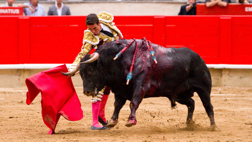 Zabranjuju borbe s bikovima u Kolumbiji, a prestaju nagrađivati u Španjolskoj