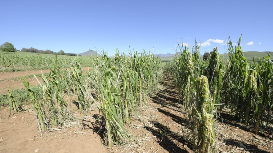 Za štete od prirodnih nepogoda osigurano šest milijuna eura