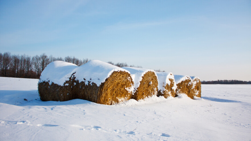 Stabilno do sredine sedmice, a onda stižu nove padavine