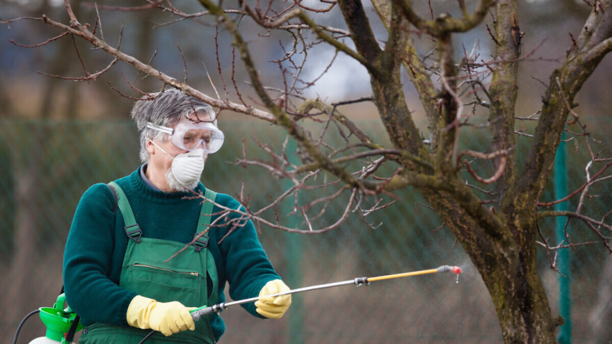 Kada je pravo vrijeme za "plavo prskanje" voćaka i koje patogene suzbija?