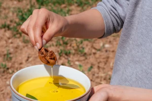 Smesa smokava i maslinovog ulja: Najbolji saveznik protiv zatvora?