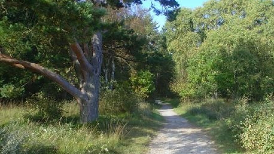 Gospodarenje područjem Šibenskih šuma