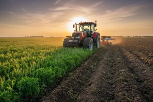 Sideracijom do kvalitetnijeg zemljišta