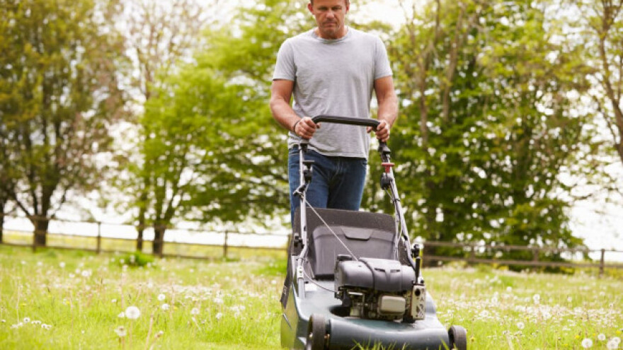 Tajne savršenog travnjaka, ukrasa dvorišta