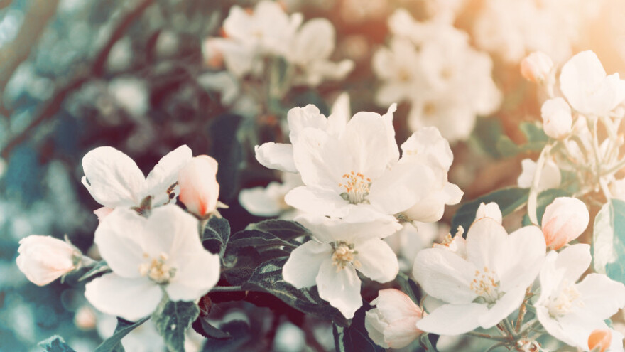 Proljeće usred zime i zakoni - posljedice ćemo tek zbrajati