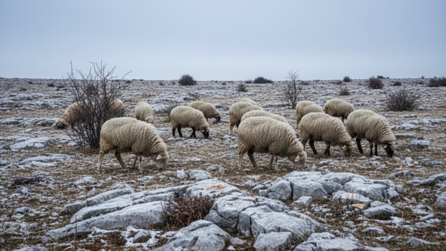 Sijena ponestalo, a zima još nije otišla