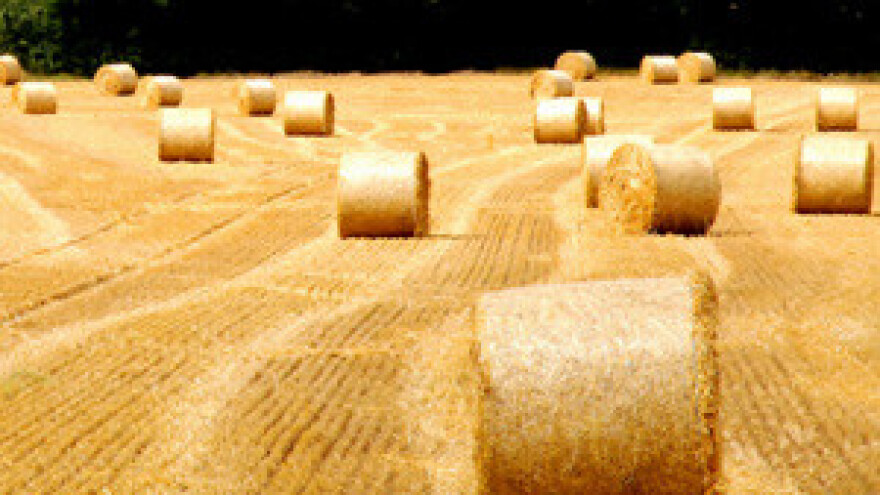 Valvitu zakupio PPK Valpovo