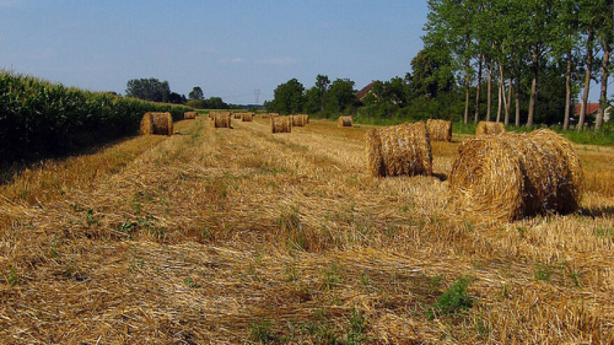 Održano 9. natjecanje u spremanju sjenaže