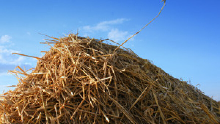 Skup poljoprivrednika