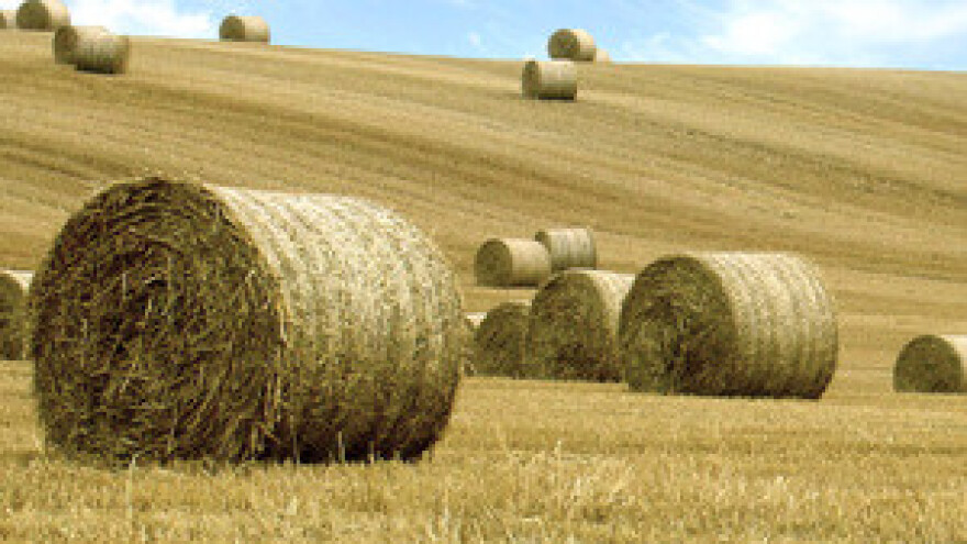 IPARD privilegira samo male tvrtke, veliki nepoželjni?