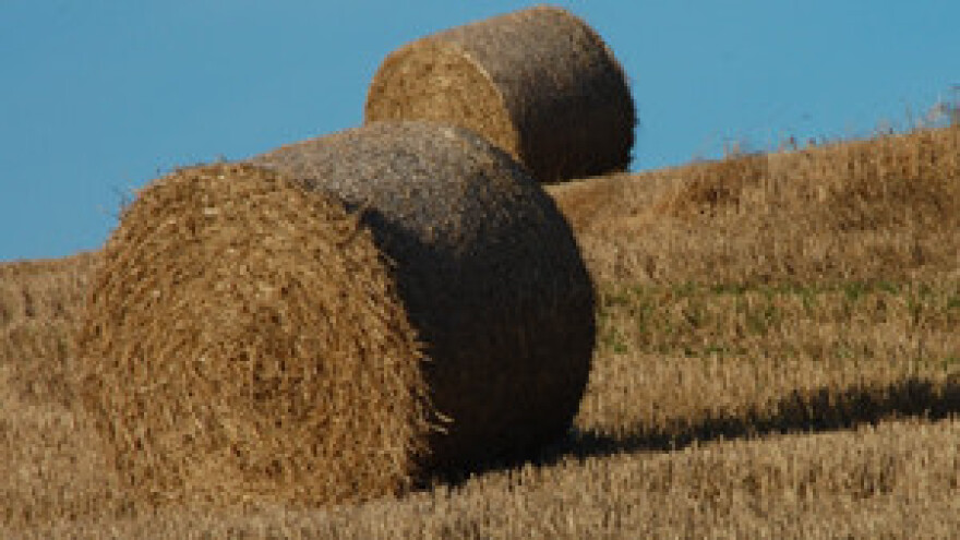 Poljoprivrednici prozivaju ministra Čobankovića