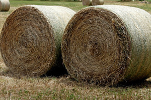 Jakovina počeo smjenjivati: od 436 šefova ostat će njih 225!