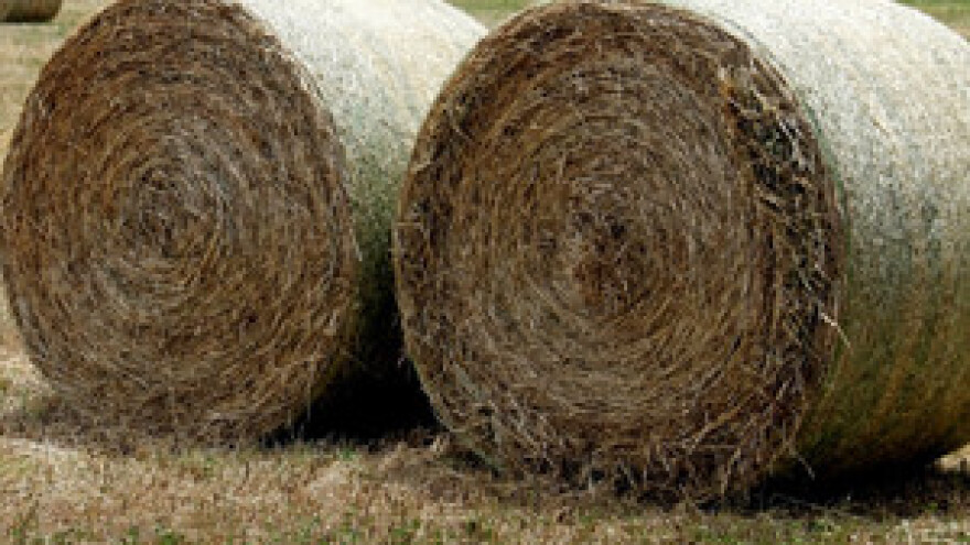 Jakovina počeo smjenjivati: od 436 šefova ostat će njih 225!