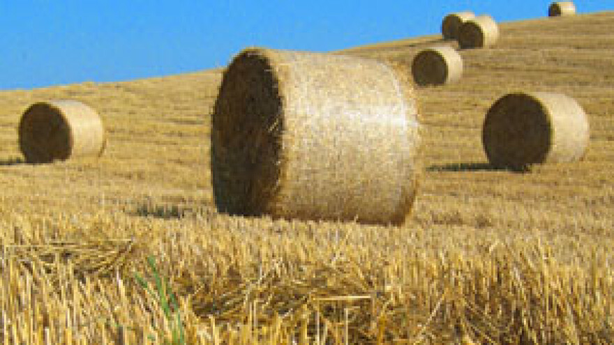 Poljoprivrednici iz EU-a izvukli 176 milijuna