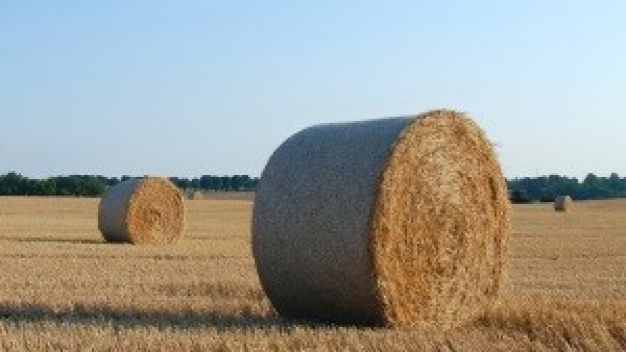 Pogreške birokracije plaćaju seljaci