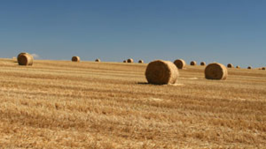 Referentno razdoblje za ostvarivanje prava na potpore u 2012. godini