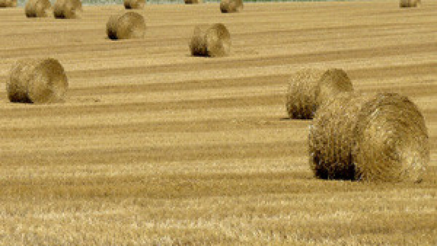 Čobanković danas odlazi u Retkovce na sastanak