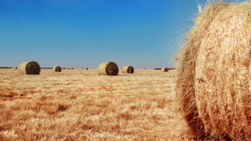 Agencija odobrila oko 100 milijuna kuna potpore kroz IPARD program