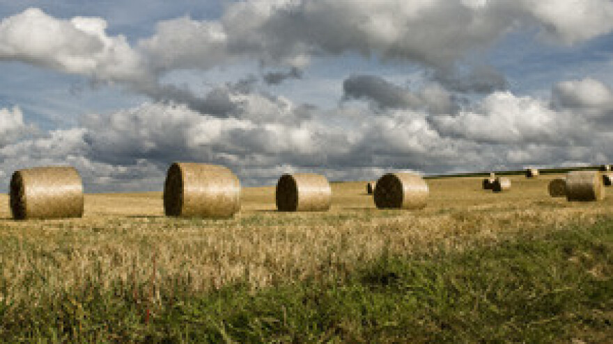 Od države dobili 23 milijarde kuna, a svi - na rubu bankrota
