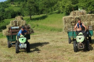 Srebrenički poljoprivrednici: Na plus 35 stepeni moraju da misle na zimu