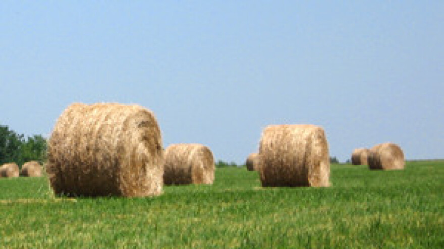 "Ukinite poticaje, neka sami zarađuju plaću!"