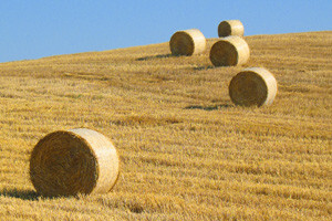 Edukacija poljoprivrednika o AGRONET-u i IPARD-u