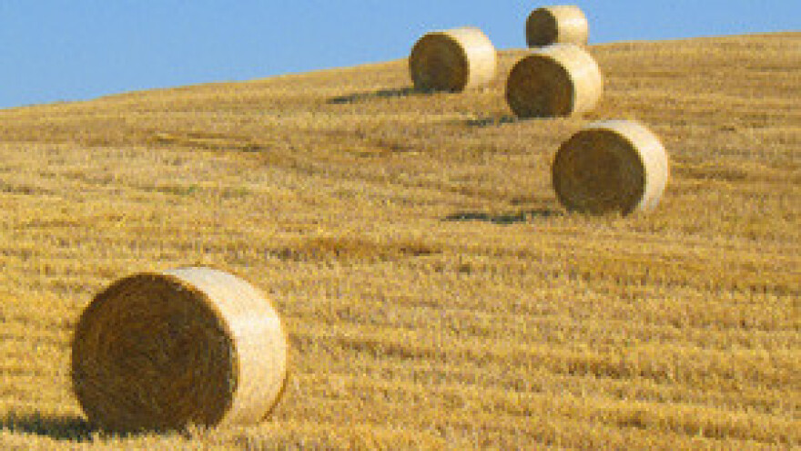 Edukacija poljoprivrednika o AGRONET-u i IPARD-u