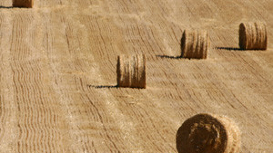 U svibnju novi natječaj za IPARD